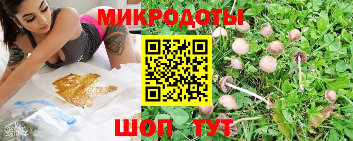 Псилоцибиновые грибы мицелий Ейск