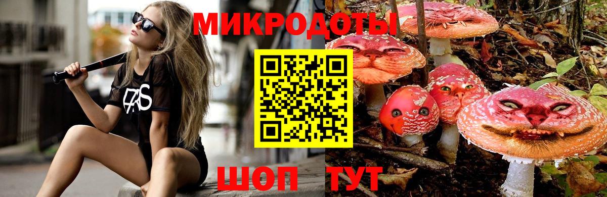 Галлюциногенные грибы прущие грибы  цены   Ейск  Вход с VPN 